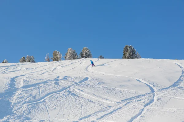 Snowboarder fährt Neuschnee — Stockfoto