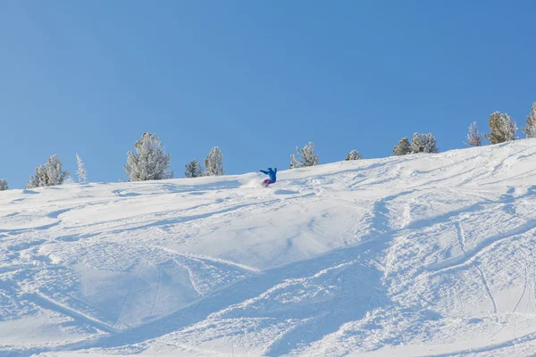 Snowboarder lovaglás friss hó — Stock Fotó