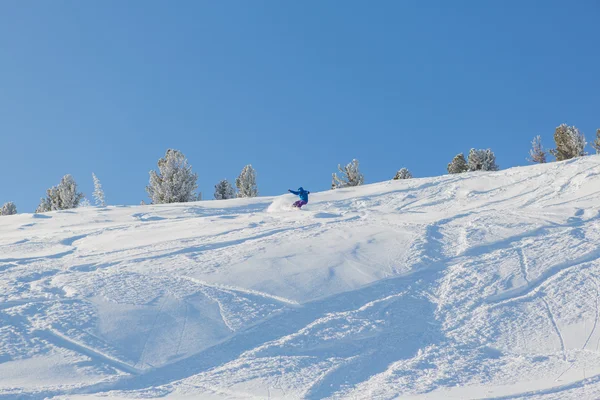 Snowboarder ιππασίας φρέσκο χιόνι — Φωτογραφία Αρχείου