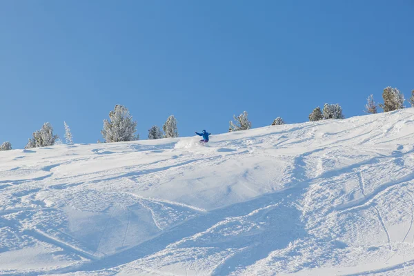 Snowboarder lovaglás friss hó — Stock Fotó