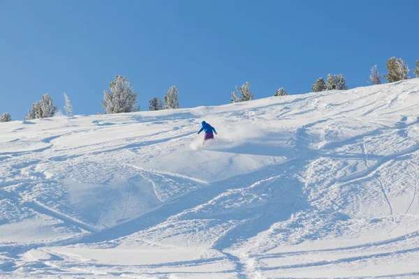 Snowboarder equitazione neve fresca — Foto Stock