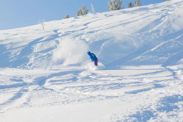 Snowboardista jezdecké čerstvý sníh — Stock fotografie