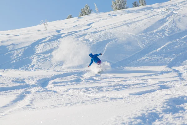 Snowboarder montando neve fresca — Fotografia de Stock