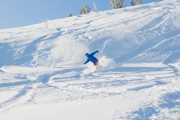 Snowboardista jezdecké čerstvý sníh — Stock fotografie