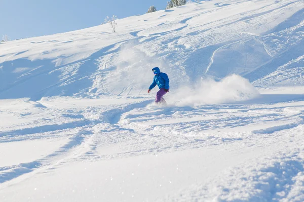 Snowboarder montando neve fresca — Fotografia de Stock