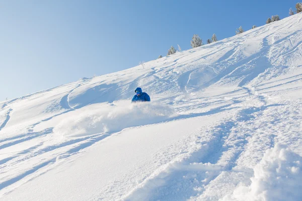 Snowboarder montando neve fresca — Fotografia de Stock