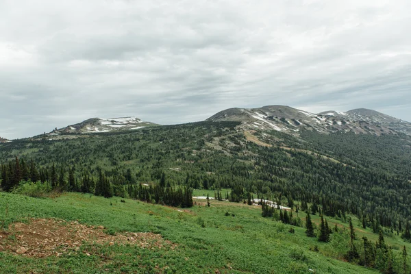 Estate paesaggio montano. — Foto Stock