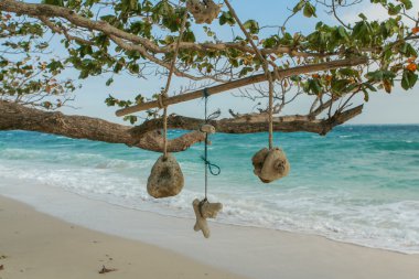 El işi mercan asmak Kuru