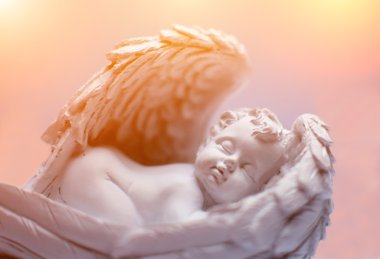 Uyuyan küçük melek romantik portresi