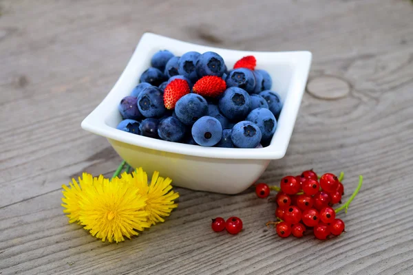 Fresh blueberries — Stock Photo, Image