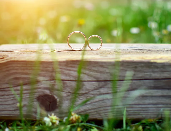 Anéis de casamento — Fotografia de Stock