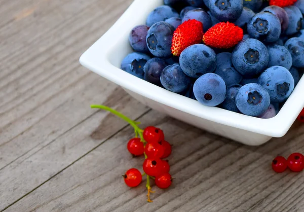 Fresh blueberries — Stock Photo, Image