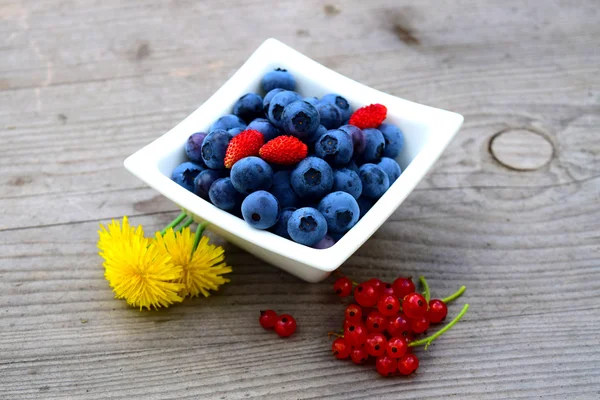 Fresh blueberries — Stock Photo, Image