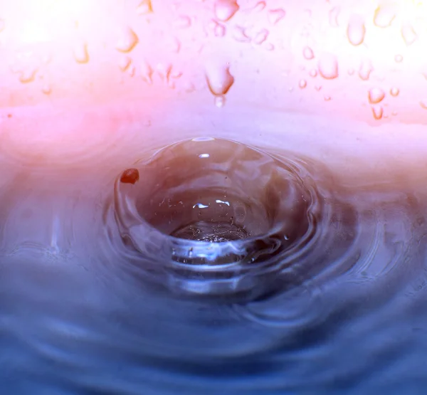 Water drop and splash — Stock Photo, Image