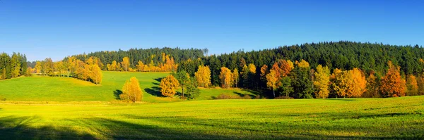 Höstlandskap med blå himmel, träd och skogar — Stockfoto