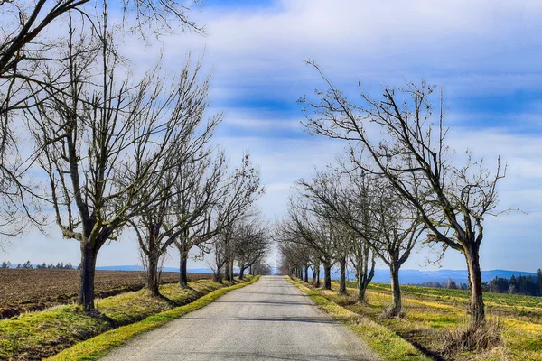 Weg von der Weide — Stockfoto