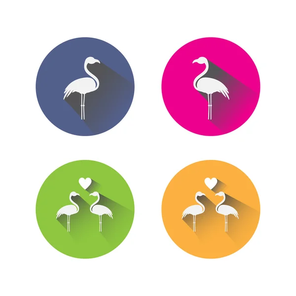 Ícones de flamingo de design plano — Vetor de Stock