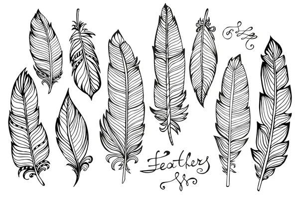 Hand drawn bird feathers  closeup big set isolated on white — Stock Vector