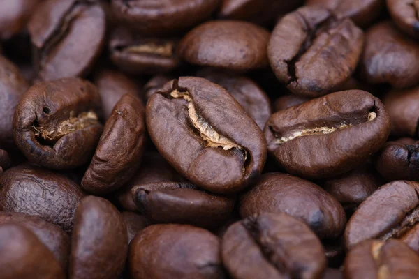 Primo piano dei chicchi di caffè — Foto Stock