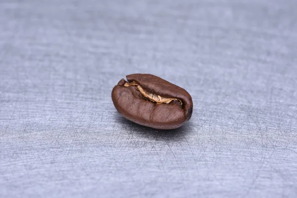 Single coffee bean — Stock Photo, Image