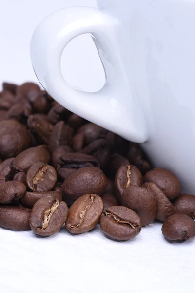 White cup of coffee and coffee beans — Stock Photo, Image