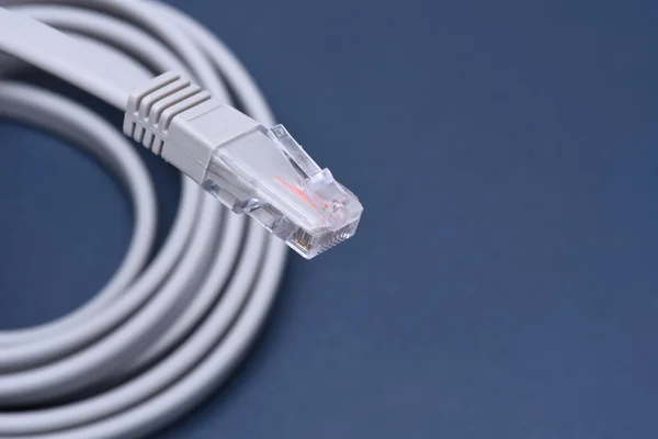 Câble Ethernet réseau — Photo