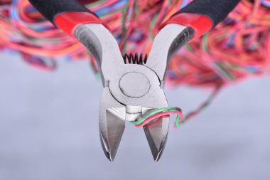 Çiçek siparişi, bileşeni aracı ve teller