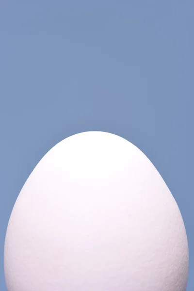White hen egg — Stock Photo, Image