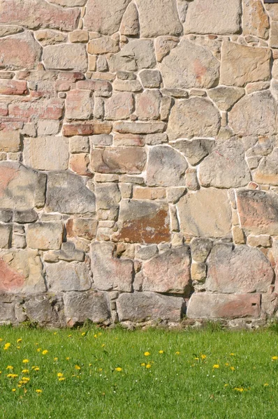 Steinmauer mit grünem Gras — Stockfoto