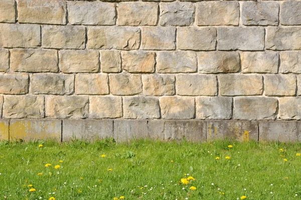 Stone wall with grass — Stock Photo, Image