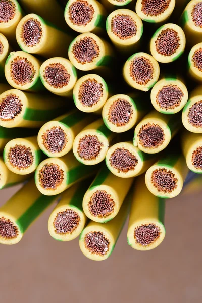 Group of yellow and green earth cable — Stock Photo, Image