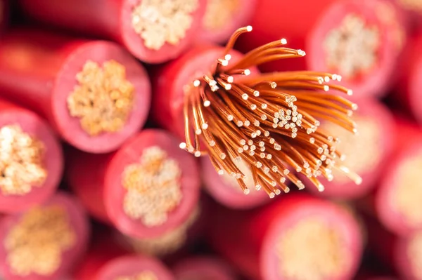 Close-up detail of copper electrical power cables