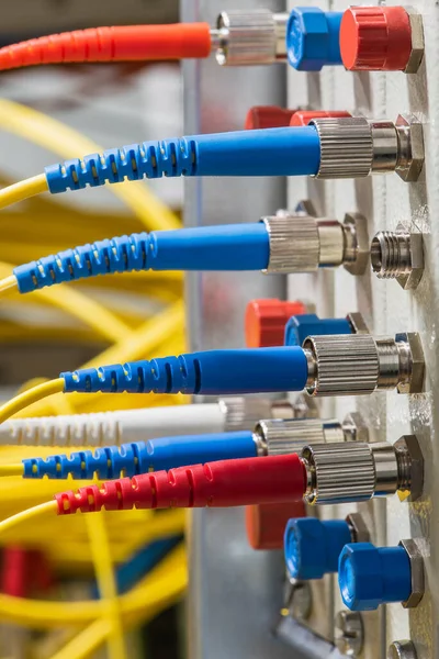 Fiber Optical Network Cables Connected Distribution Patch Panel — 스톡 사진