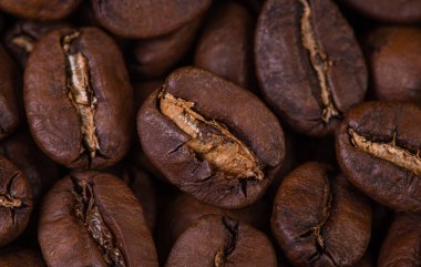 Kavrulmuş kahve çekirdekleri.