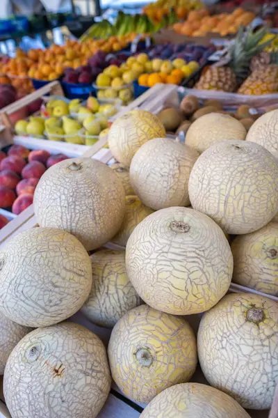 Italian Smooth Skin Melon Street Market Padua — 스톡 사진
