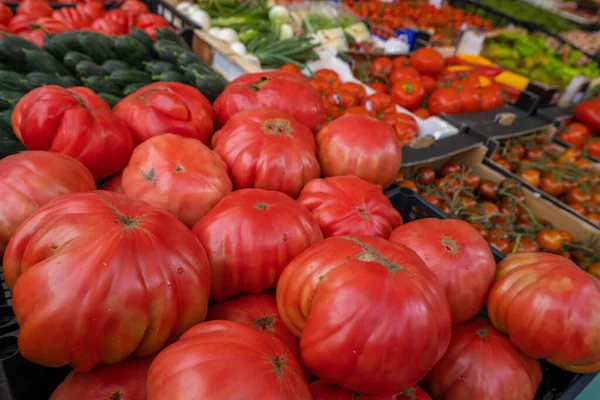 Tomates Mercado Alimentar Pádua Itália — Fotografia de Stock