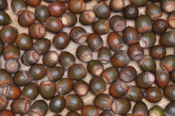 Acorns on the board — Stock Photo, Image