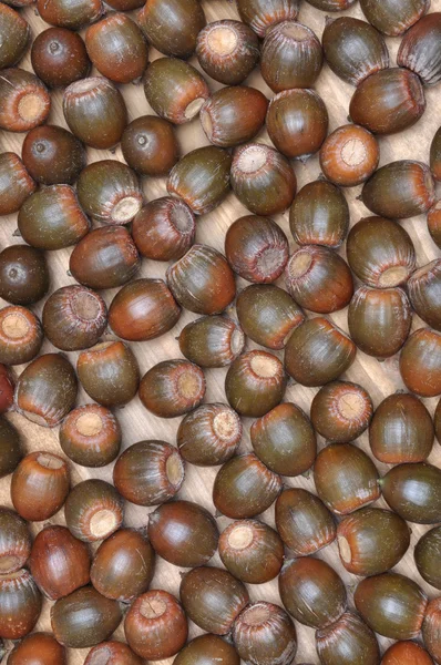 Acorns on the board — Stock Photo, Image