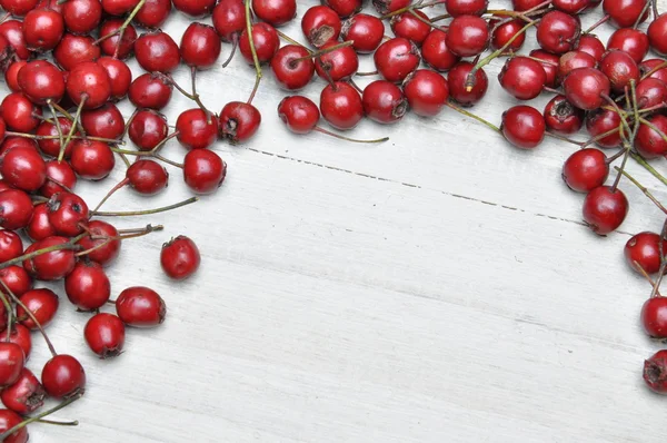 Hawthorn berries — Stock Photo, Image