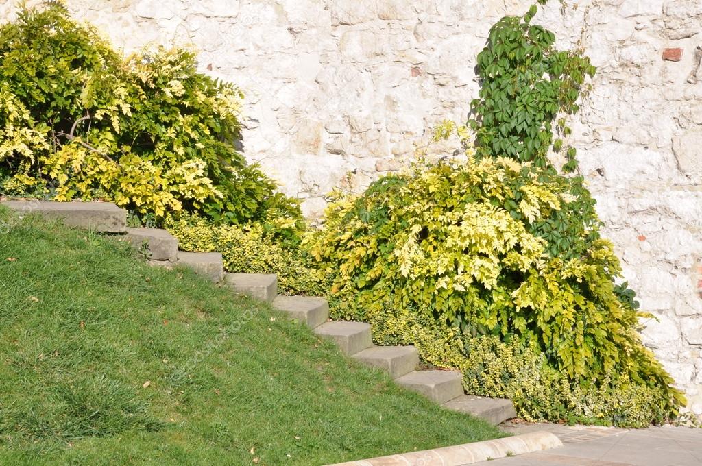 Stone stairs against the wall in the garden