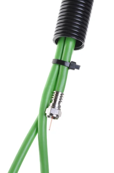 Groene coaxkabel met f-connector in golfkarton pijp — Stockfoto