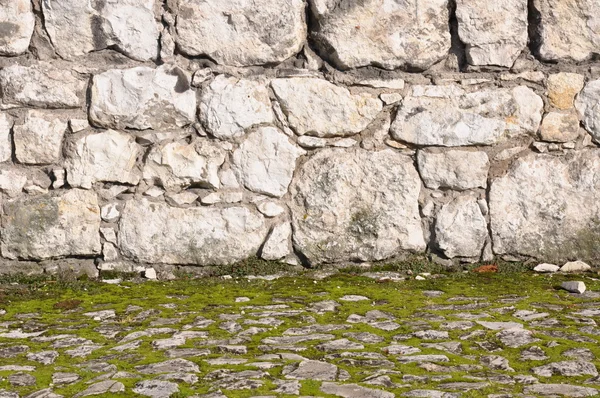 Background of grass and stonewall — Stock Photo, Image