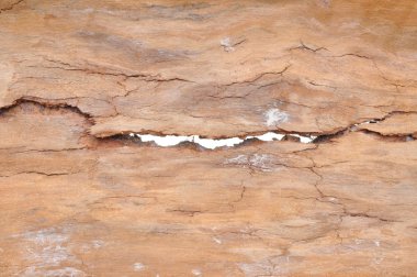 Huş kabuğu doku çatlaklar