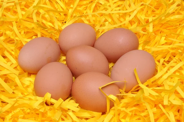 Ägg på gula strimlade papper — Stockfoto