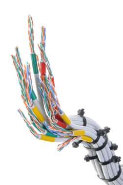Bilgisayar ağ kabloları ile kablo bağları