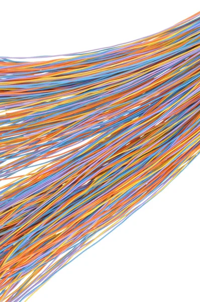 Computer network cables — Stock Photo, Image