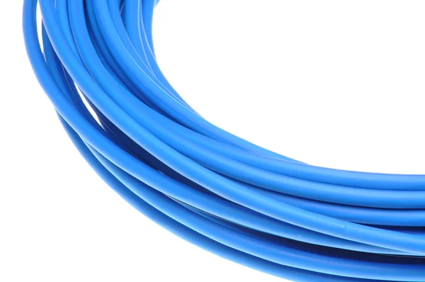 Kék hálózati kábel — Stock Fotó