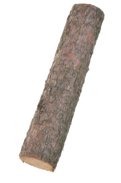 白い背景に隔離された木の丸太 — ストック写真