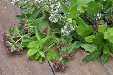 Eski ahşap masa üzerinde taze yeşil otlar