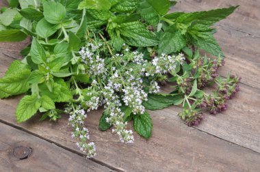 Eski ahşap masa üzerinde taze yeşil otlar